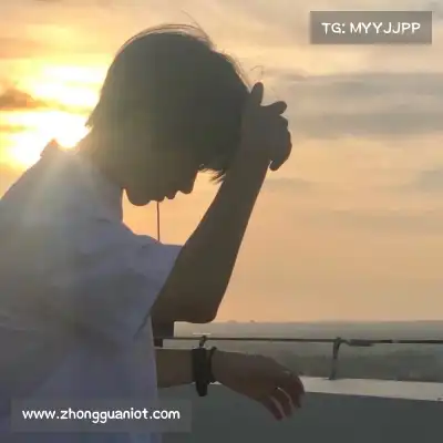 贡逸义